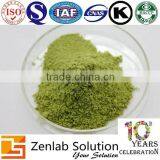 Moringa Oleifera Leaf Extract Powder thumbnail-5