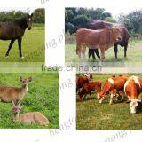 Animal Fence Electric Polyrope for Goat Farming thumbnail-6