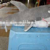 Plush Toy Shark Christmas Gift Plush&stuffed Toys Animal thumbnail-1