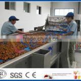Dates Production Line thumbnail-2