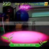 Led Grow Light Cover Big Area Full Spectrum Led Grow Light Professional for Medical Growing thumbnail-4