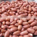 Blanched Peanut Without Skin - Count 38/40 40/50 50/60 thumbnail-3