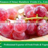 Red Globe Grapes Price Yunnan Red Globe Grape Sweet Fresh Good Taste thumbnail-6