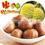 Canned Chestnut thumbnail-2