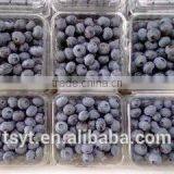 IQF Frozen Chinese China Best Quality Better Quality Wild Blueberry Blueberries thumbnail-6
