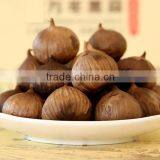 Black Garlic thumbnail-3