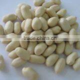 Supplier of Commom Peanut Kernels 25/29