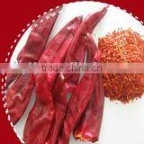 Red Chilli 2012 New Crop thumbnail-1