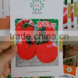 Tomato Seeds Red Tomato Seeds Anti TY General F1 thumbnail-2