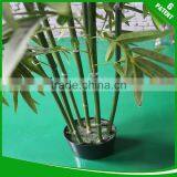Everlasting Artificial Bamboo Plants for Decoration Shop and Hotal Park thumbnail-5