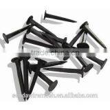 Shoe Tack Nails thumbnail-1