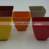 Square Biodegradable Flower Pot thumbnail-2