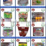 Transparent Plastic Slider Zip Lock Packaging Fruit Bag for Cheery and Grape thumbnail-6