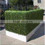 2017 China Wholesale Artificial Multi-purpose and Hydraulic Hedge Trimmer thumbnail-5