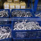 Hot Forged Steel D Ring For Safety Connection thumbnail-6