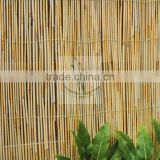 natural reed screen