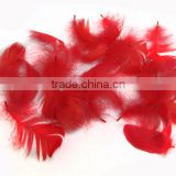 Wholesale multicolor decotation goose feather for party and wedding,5-8cm import from China