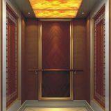 Toyon Home Elevator for Villa Lift and Villa Passenger Elevator and Hotel Elevator thumbnail-1