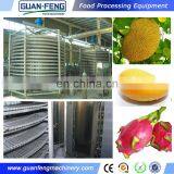 IQF Frozen Mango Spiral Conveyor Freezing Machine Spiral Blast Freezer thumbnail-3