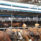Animal for Drying Bags Wood Sawdust Bedding thumbnail-4