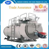 Trade Assurance security Automatically 1 ton per hour steam pressure gas heaters