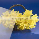 Shadow Box Glass,AR ITO,AR Glass