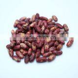 Red Speckled Kidney Beans thumbnail-5