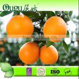 Freshnavel oranges0003
