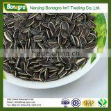Wholesale Sunflower Seeds thumbnail-1