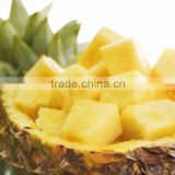 Vietnam canned pineapple chunks in A10 cans, competitive price, high quality