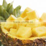 Vietnam canned pineapple chunks in A10 cans, competitive price, high quality