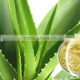 China Stevia ISO, GMP, HACCP, KOSHER, HALAL Certificated thumbnail-6