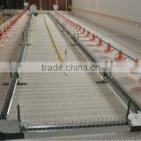 Automatic Poultry Breeding Equipment Manufacture in Qingzhou