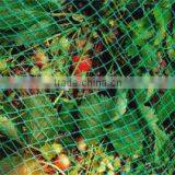 Orchard Net, Professional Agriculture Net, Plant Support Net thumbnail-1