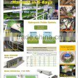 BK Conveyor Culture thumbnail-1