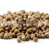 Coriander Seeds thumbnail-3