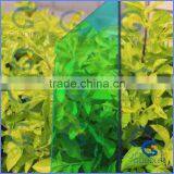 Goodlife High Quality Polycarbonate Gazebo thumbnail-4