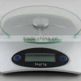 Multi Purpose Scale thumbnail-1