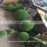 SJLJ013602 Artificial Plant Fake Plastic Topiary Boxwood Ball thumbnail-2