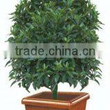 Hotel Lobby Flowerpot thumbnail-1