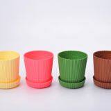 Plastic 6 Multicolored Circle Flower Plant Pots / Planters with Saucer Pallet