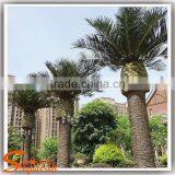 7ft-15ft Artificial Inflatable Palm Tree Plastic Date Palm Trees Prices for Sale thumbnail-3