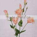 stable supplying hawaiian variegate color factory artificial flowers from holland