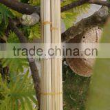 Bamboo Sticks for Plant and Flower thumbnail-2