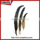 Lower Prices Artificial Dyed Rooster Coque Tail Wholesale Feathers Types thumbnail-5