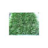 Evergreen11600Dtex Outdoor Artificial Grass for Landscape, 20 mm Synthetic Turf Gauge 3/8 thumbnail-1