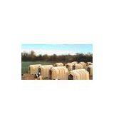 Calf Housing thumbnail-1