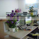 Wenzhou Yashi Crafts & Gifts Co., Ltd. company overview - view 2 thumbnail