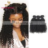 Factory price Peruvian human virgin 9A grade hair weaving in kinky curly cuticle aligned hair