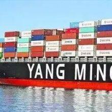 FOB Sea Freight From China to Jeddah/Aqaba /Sokhna Shipment Service FCL thumbnail-4